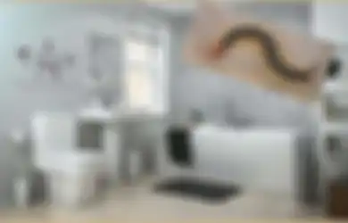 5 Cara Mudah Basmi Kelabang di Kamar Mandi Biar Tak Kembali Lagi!