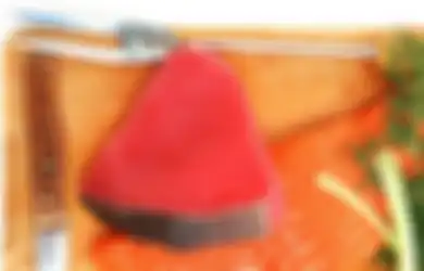 Mudah Ditemukan di Semua Pasar di Indonesia dengan Harga Murah Meriah, Ternyata Ikan Ini Seribu Kali Lebih Sehat dari Ikan Salmon, Bahkan Bisa Jadi Obat Juga Loh