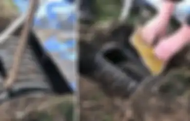 Ada Jeritan dari Bawah Tanah, Setelah Digali Hewan Hitam nan Unik Ini Ditemukan Didalamnya