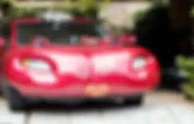 Wow, Wanita Ini Mengubah Bentuk Mobilnya Jadi Seperti Kuda Nil