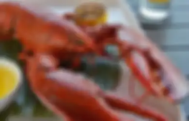 Bertentangan dengan Susi, Menteri Edhy akan Buka Ekspor Benih Lobster, Negara Ini yang akan Diuntungkan Sementara Sentra Perikanan Indonesia akan Hancur