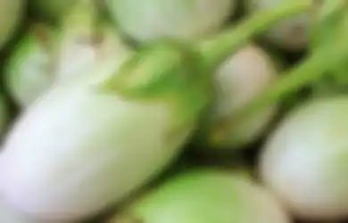Hati-hati, Mengonsumsi Terong Mentah Bisa Berisiko Keracunan