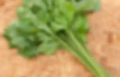 Bahkan Raja pun Memakai Seledri Sebagai Obat Alami untuk Biduran, Mau Coba?