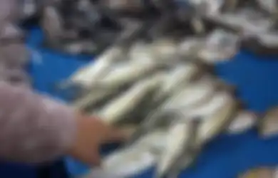 Jangan Salah, Ikan Kembung Lebih Bergizi Ketimbang Salmon yang Mahal