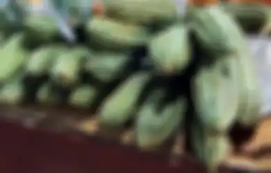 Anak Muda Pemilik Masalah Rambut Memutih Wajib Tahu, Sayuran Lezat Ini Bisa Jadi Cara Ampuh Mengatasi Uban dengan Mudah, Begini Caranya!