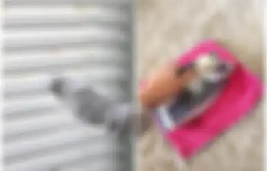 Akhirnya Tak Perlu Kerja Keras Bersihkan Bagian-bagian Super Kotor Ini, Simak Trik-trik Mudah Bersihkan Rumah dengan Bahan-bahan Rumahan Ini