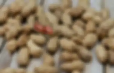 Fakta Sebenarnya di Balik Mitos 'Makan Kacang Bikin Jerawatan'