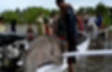 Ditemukan Mati Penuh Luka, Ikan Duyung Langka Ini Dipotong-potong Warga Lalu Dijual