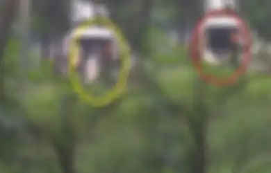Viral Foto Mayat Terbungkus Kafan Dibuang, Rupanya Ini Kisah Sebenarnya dari Foto Tersebut