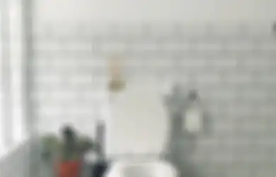 Mampet WC Hilang Seketika Hanya Dengan Bahan Alami dari Dapur!