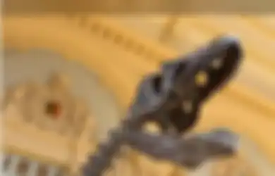 Museum Dianggap Terlalu Miskin, Kerangka Dinosaurus Nyaris Lengkap Ini pun Terpaksa Dilelang