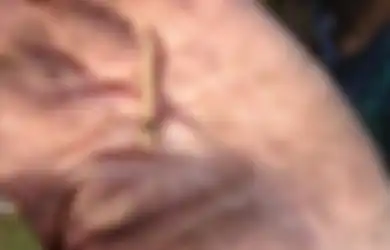 Inilah 'Harta Karun' Kuno yang Ungkap Kehidupan Misterius Orang-orang Hilang di Skotlandia