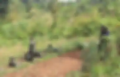 Jangankan KKB Papua, Ternyata Pasukan Amerika Juga Sering Gunakan Taktik Gerilya
