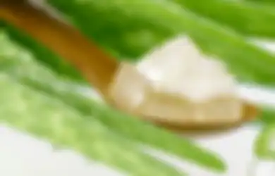 Kaya Manfaat, 5 Tanaman Obat Ini Bisa Ditanam di Pot Rumah Anda, Lo!
