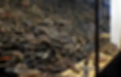 Di Blok Maut Kamp Konsentrasi Nazi Ini Rambut Para Korban yang Tewas Dijadikan Bahan Tekstil, Sadis!