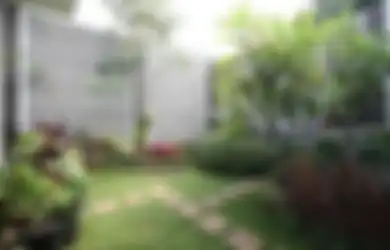 5 Syarat Menanam dan Merawat Rumput agar Tumbuh Subur dan Lebat