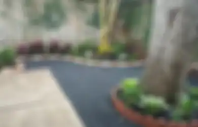 Malas Merawat Taman? Intip Inspirasi Taman Tanpa Rumput yang Viral!