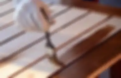 Sambut Bulan Ramadan 2022 dengan Mengilapkan Kembali Perabot Kayu, Tak Perlu Beli Baru!