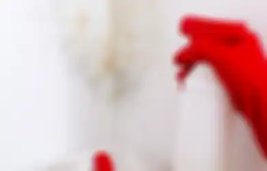  Aneka Tips Hari Ini, Enggak Perlu Lagi Pusing di Musim Penghujan, Simak Solusi Jitu Waterproofing Cegah Kebocoran Dinding