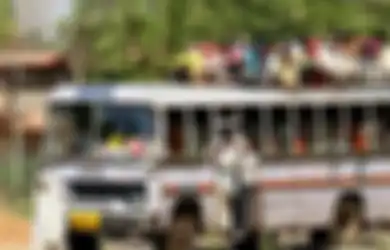 Hanya di India: Siap-siap Dikeroyok Massa Jika Sampai Menabrak Sapi