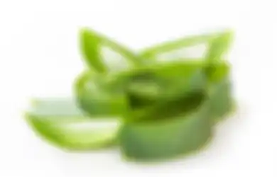Rambut Cepat Panjang Cuma Bermodalkan Aloe Vera. Gini Lho Caranya!