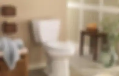 Bagaimana Cara Mengusir Noda Kuning pada Dudukan Toilet? Tinggal Siapkan Pasta Bumbu Dapur Ini!