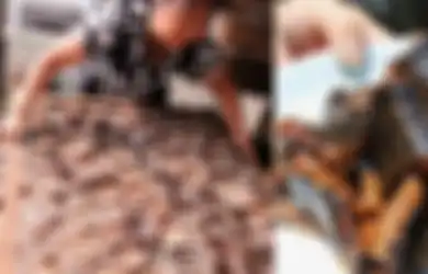 Mengintip Desa Ular di China, Lebih dari 3 Juta Ular Diternakkan di Sini dan Menghasilkan Rp172 M per Tahun