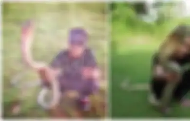 Remaja Tewas Digigit King Kobra: Ternyata Ini Cara yang Benar Untuk Menangani Korban Gigitan Ular