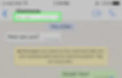 Teman Mematikan Tanda Centang Biru WhatsApp? Begini Cara Mengintipnya
