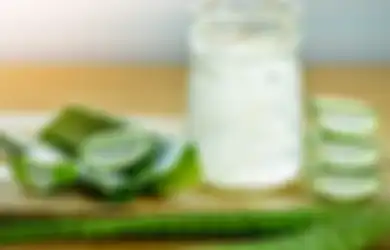 Minum Jus Aloe Vera Berikan 4 Khasiat Tak Disangka Ini Lho! Tertarik?