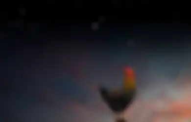 Bukan Mitos, Ini yang akan Terjadi Jika Ayam Jago Berkokok Tengah Malam atau Angsa Tidur Berdiri dengan Satu Kaki, Buktikan Kebenarannya!