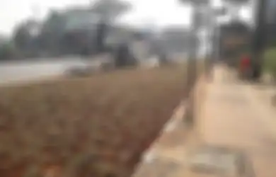 Ada 'Taman' di Antara Halte Bus dan Jalan Raya di Sudirman: ‘Jadi Kita Lewat Mana Kalau Mau Naik Bus?’