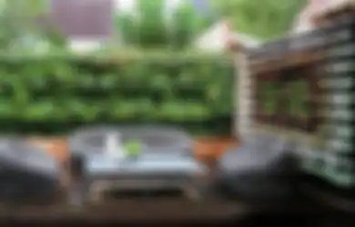 Wall Garden Ini Sedang Berkembang, Cari Tahu Lebih Banyak Yuk!