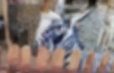 Seekor Keledai 'Dipaksa' Menjadi Zebra di Sebuah Kebun Binatang, Caranya Konyol Sekaligus Miris