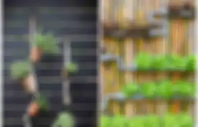 Ingin Sulap Lahan Sempit Jadi Unik dan Indah? Yuk Contek 5 Ide Taman Vertikal Berikut!