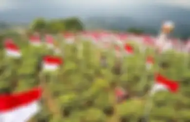 Bendera Merah Putih Tidak Tercipta Saat Proklamasi, Ini Fakta Sebenarnya!