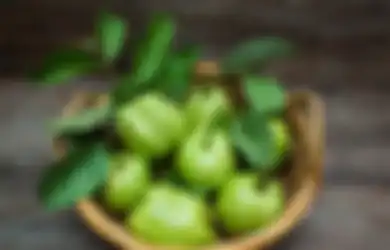 Mudah Dilakukan, Begini Cara Membuat Ramuan Daun Jambu Biji untuk Sembuhkan Diabetes