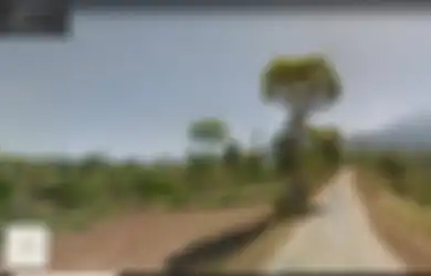 Yuk Lihat Kamera Canggih Google Street View yang Kerap Blusukan 