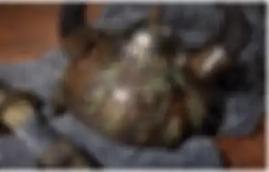Hendak Diinvasi Mongol yang Dipimpin Kubilai Khan, Jepang Selamat Berkat 'Badai Ilahi'