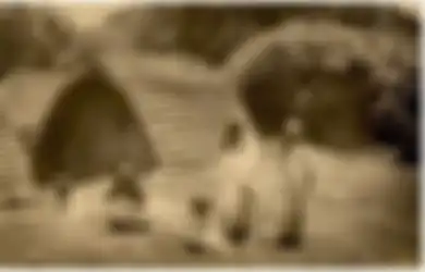 Suku Toda Hanya Mengakui 'Ayah Sosiologis' Bukan 'Ayah Biologis', Ini Maksudnya