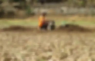 Alami Krisis Air karena Kekeringan, Warga Gunungkidul Rela Menunggu Lama Demi Air Keruh Sisa Telaga