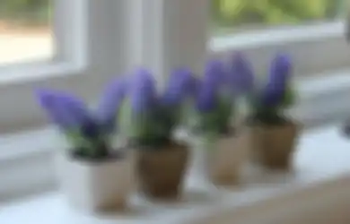 Lavender Hingga Cengkeh Ternyata Mujarab Usir Lalat di Rumah, Kok Bisa?