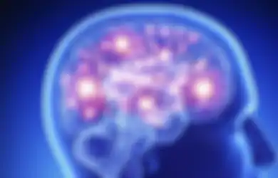 Tak Hanya Pengaruhi Paru-paru, Kini Ilmuwan Sebut Virus Corona Bisa Merusak Otak dalam Skala Besar, Mulai dari Peradangan hingga Stroke