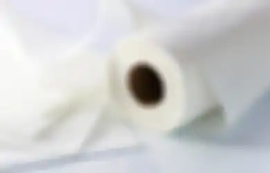 Dikasih Tau Dokter, Ternyata Menggunakan Tisu Toilet Saat Buang Air Besar Bisa Menimbulkan Malapetaka, Ini Alasannya..