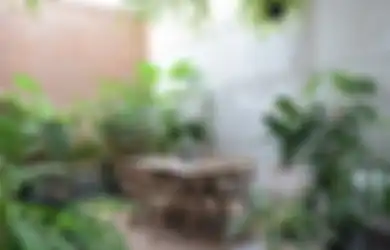 Bak di Hutan, Begini Sejuknya Penerapan Gaya Urban Jungle di Rumah, Mau Coba?