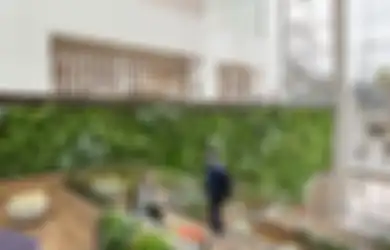 Mau Miliki Taman Vertikal? Cek Masalah dan Solusi yang Kerap Muncul