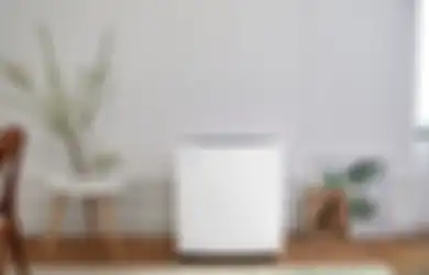 Ringankan Penyakit yang Sempat Diidap Rina Gunawan, Simak 3 Pertimbangan Sebelum Beli Air Purifier yang Jarang Diketahui!
