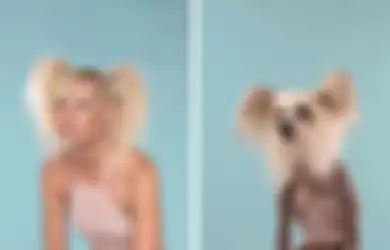 (Foto) Kocak, Saat Anjing Berpose Mirip Manusia, atau Justru Manusia yang Berpose Mirip Anjing?