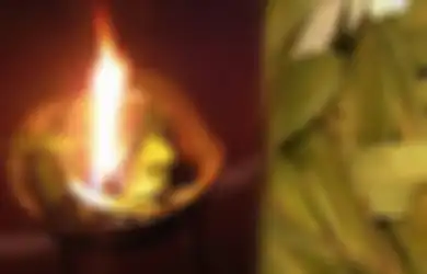 Pernah Coba? Bakar Daun Salam dalam Ruangan Selama 10 Menit, Rasakan Sensasi yang Berbeda Ini dalam Diri Anda