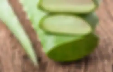 Pernah Coba Minum Jus Lidah Buaya? Ternyata Punya 4 Manfaat Ini!